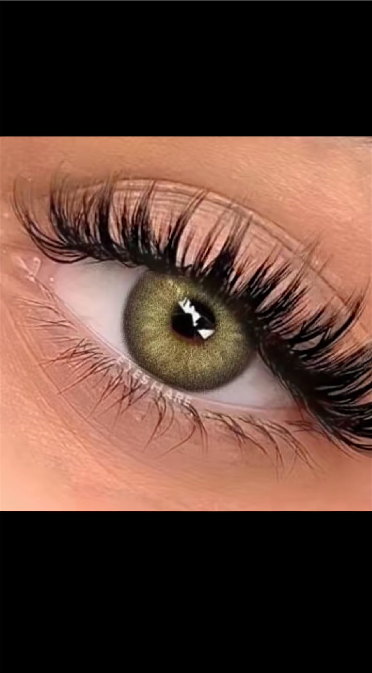 Queen premium color contact lens