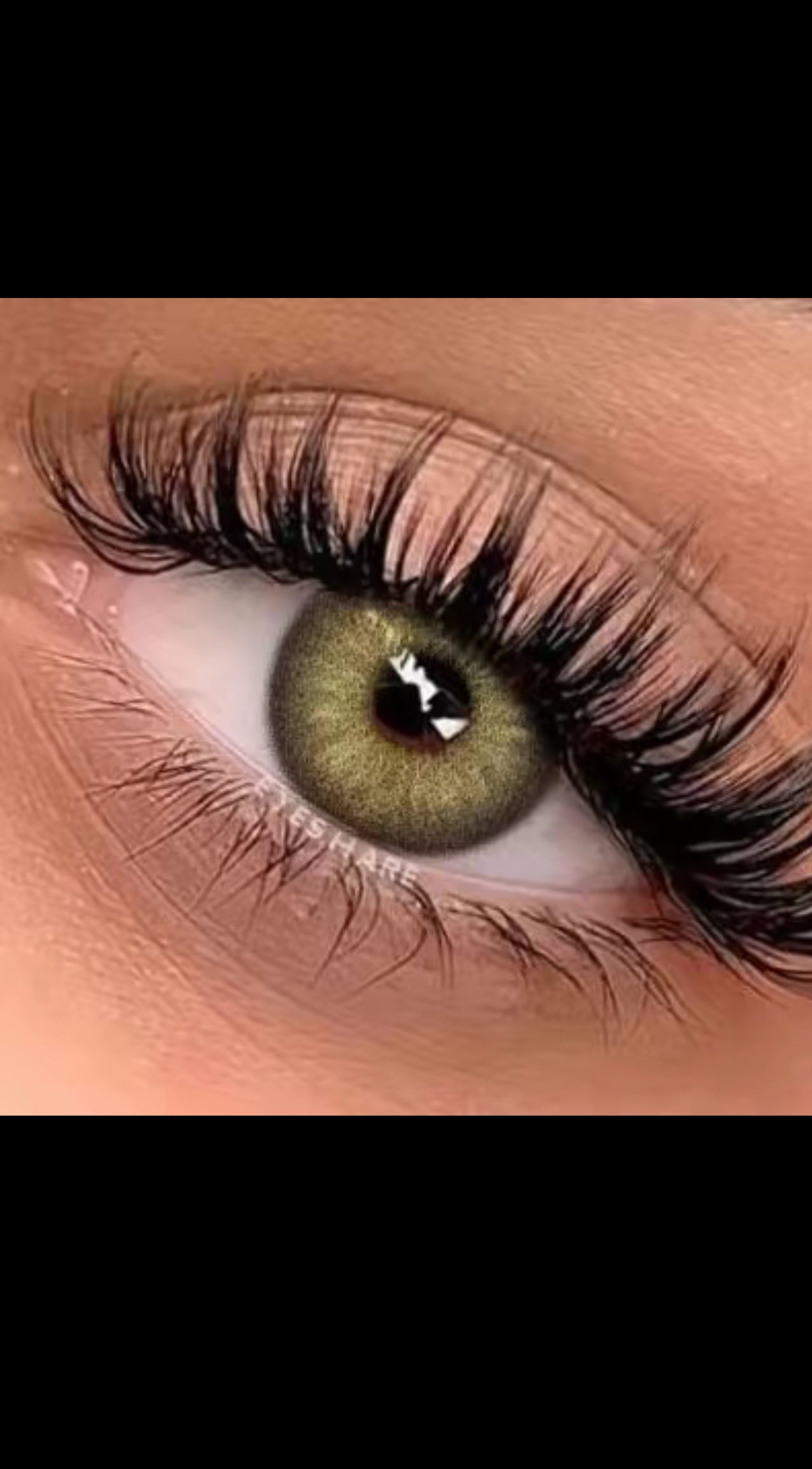 Queen premium color contact lens